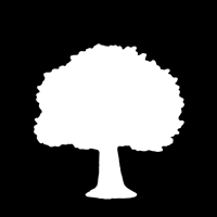 BigtreeShoes Logo